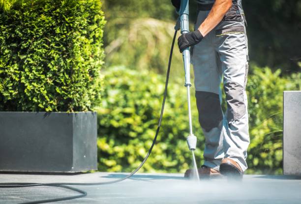 Best Sidewalk and Walkway Cleaning  in Faison, NC