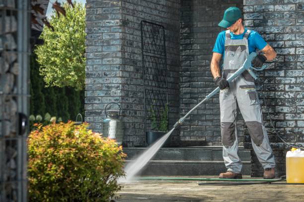 Best Roof Washing  in Faison, NC